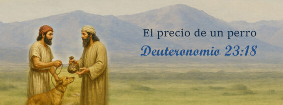 El precio de un perro